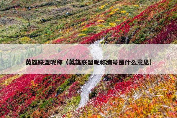 英雄联盟昵称（英雄联盟昵称编号是什么意思）