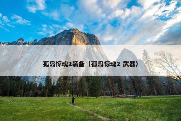 孤岛惊魂2装备（孤岛惊魂2 武器）