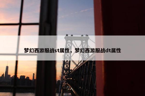 梦幻西游服战st属性，梦幻西游服战dt属性