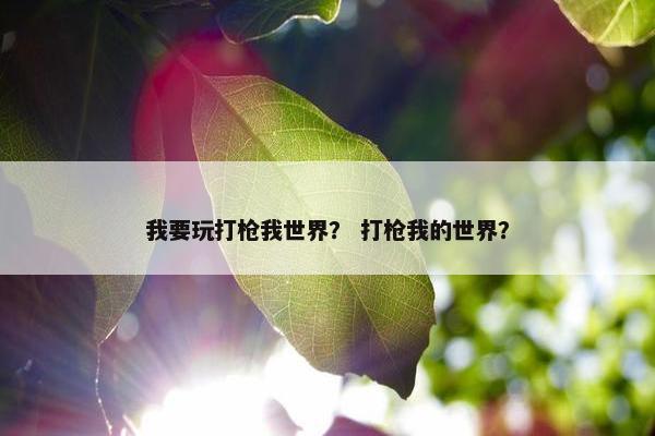 我要玩打枪我世界？ 打枪我的世界？