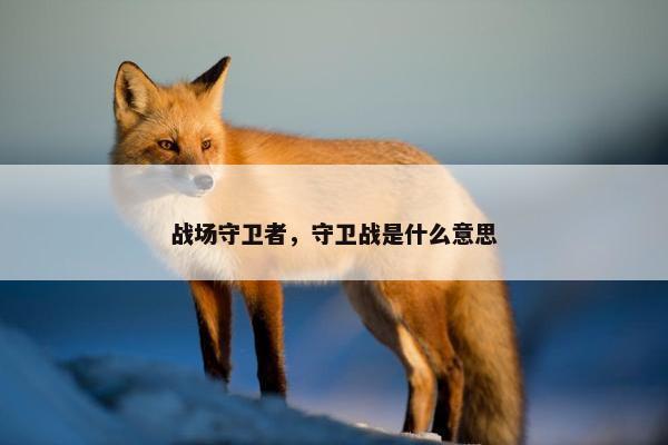 战场守卫者，守卫战是什么意思