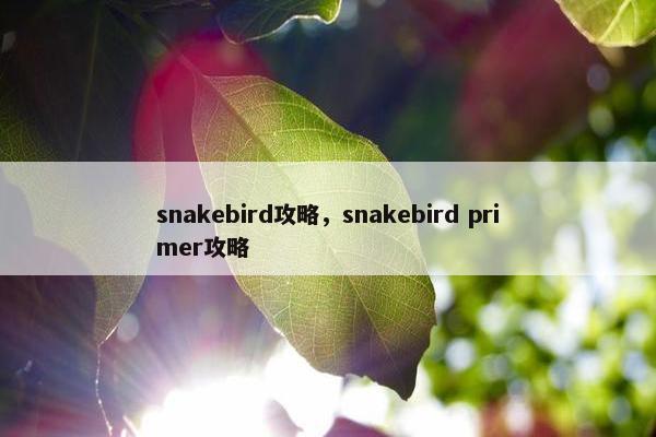 snakebird攻略，snakebird primer攻略