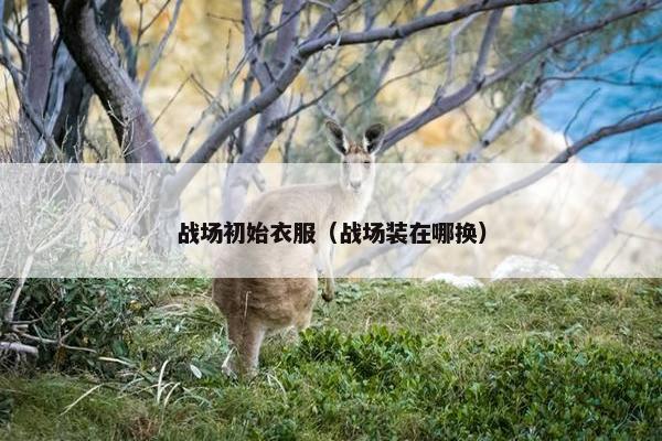 战场初始衣服（战场装在哪换）