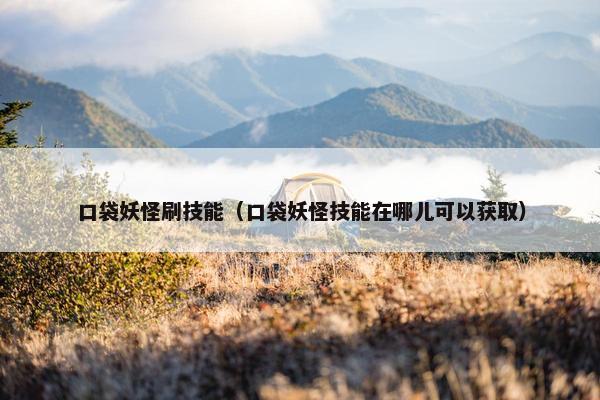 口袋妖怪刷技能（口袋妖怪技能在哪儿可以获取）
