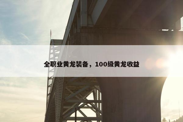 全职业黄龙装备，100级黄龙收益
