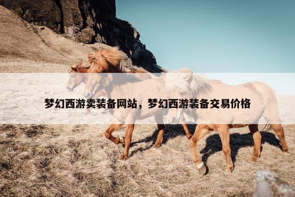 梦幻西游卖装备网站，梦幻西游装备交易价格