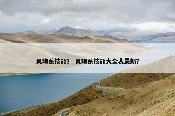 灵魂系技能？ 灵魂系技能大全表最新？