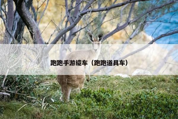 跑跑手游缆车（跑跑道具车）