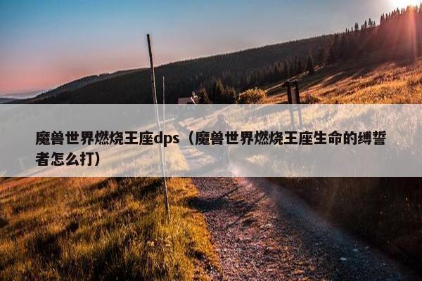 魔兽世界燃烧王座dps（魔兽世界燃烧王座生命的缚誓者怎么打）