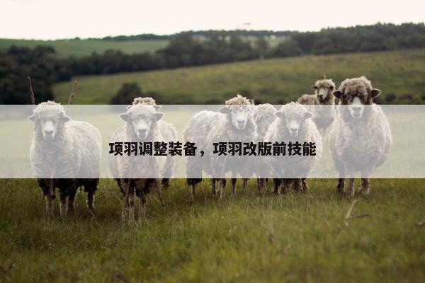 项羽调整装备，项羽改版前技能