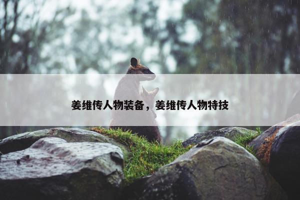 姜维传人物装备，姜维传人物特技