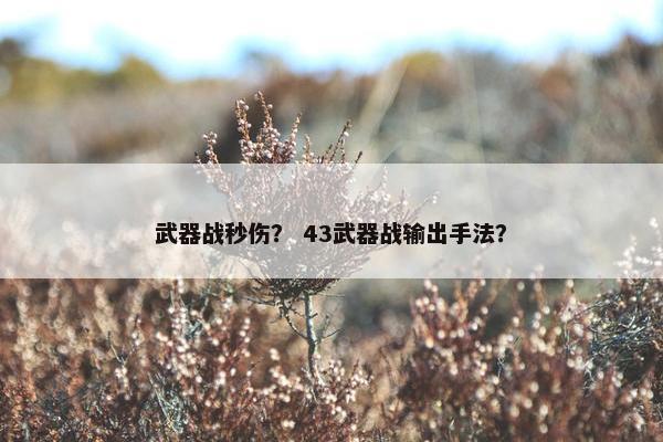 武器战秒伤？ 43武器战输出手法？