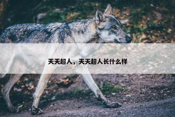 天天超人，天天超人长什么样