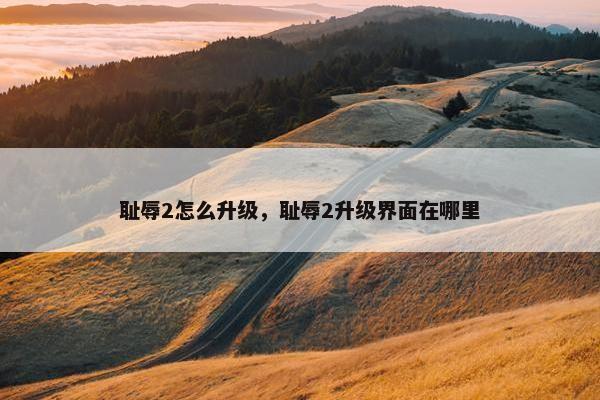 耻辱2怎么升级，耻辱2升级界面在哪里