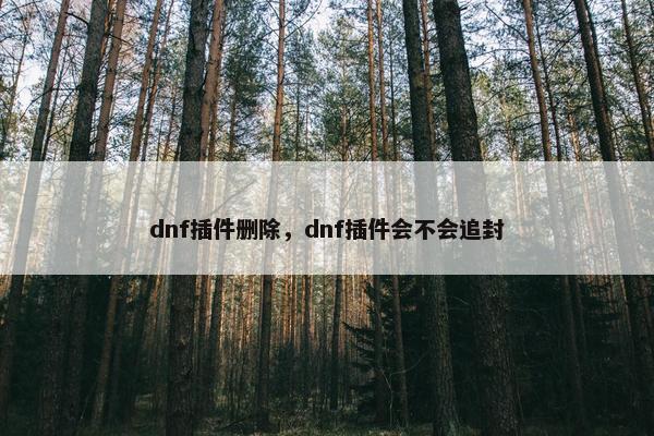 dnf插件删除，dnf插件会不会追封