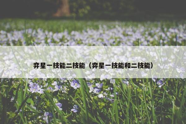 弈星一技能二技能（弈星一技能和二技能）
