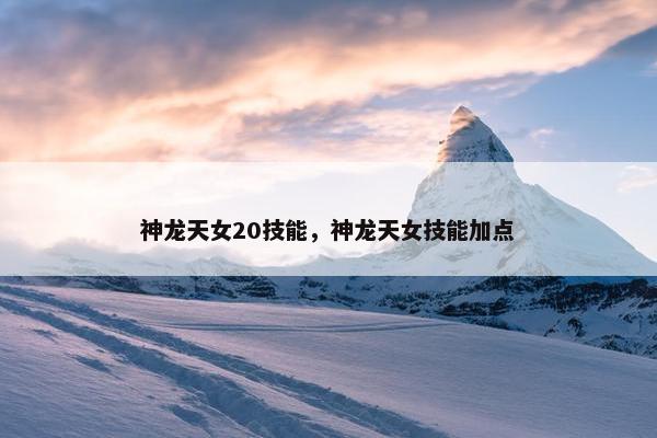 神龙天女20技能，神龙天女技能加点