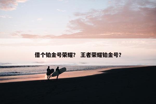 借个铂金号荣耀？ 王者荣耀铂金号？