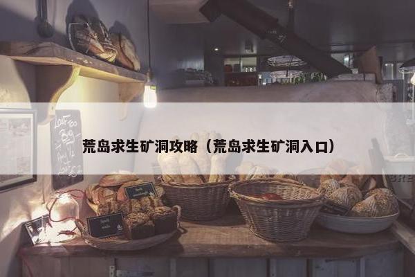 荒岛求生矿洞攻略（荒岛求生矿洞入口）