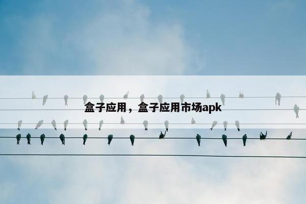 盒子应用，盒子应用市场apk