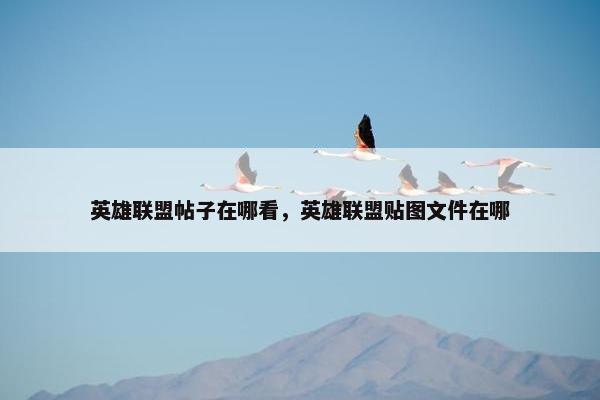 英雄联盟帖子在哪看，英雄联盟贴图文件在哪