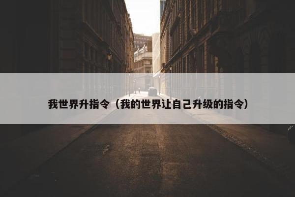 我世界升指令（我的世界让自己升级的指令）