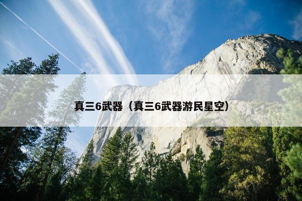 真三6武器（真三6武器游民星空）