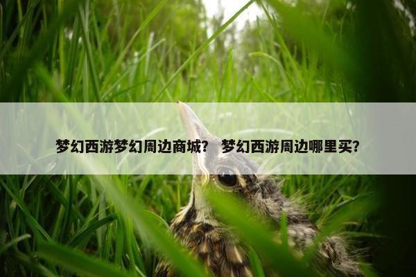 梦幻西游梦幻周边商城？ 梦幻西游周边哪里买？