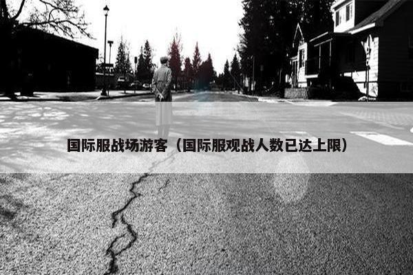 国际服战场游客（国际服观战人数已达上限）