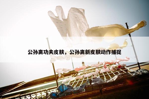 公孙离功夫皮肤，公孙离新皮肤动作捕捉