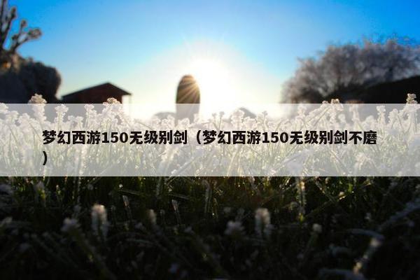 梦幻西游150无级别剑（梦幻西游150无级别剑不磨）