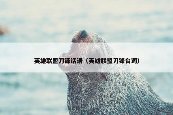 英雄联盟刀锋话语（英雄联盟刀锋台词）