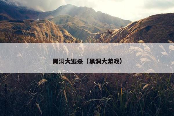 黑洞大逃杀（黑洞大游戏）