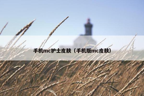 手机mc护士皮肤（手机版mc皮肤）