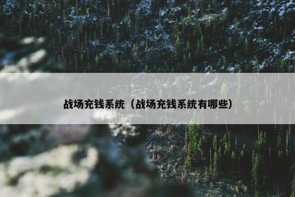 战场充钱系统（战场充钱系统有哪些）