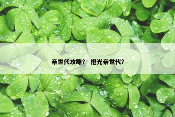 亲世代攻略？ 橙光亲世代？