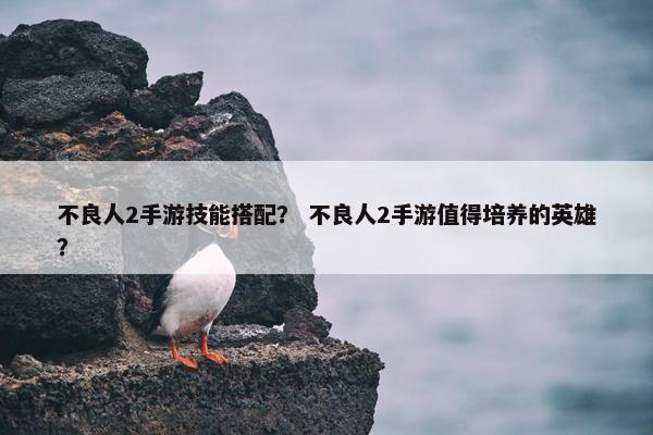 不良人2手游技能搭配？ 不良人2手游值得培养的英雄？