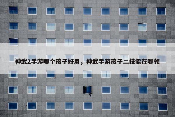 神武2手游哪个孩子好用，神武手游孩子二技能在哪领