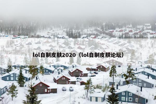 lol自制皮肤2020（lol自制皮肤论坛）