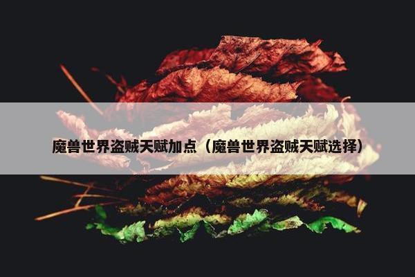 魔兽世界盗贼天赋加点（魔兽世界盗贼天赋选择）