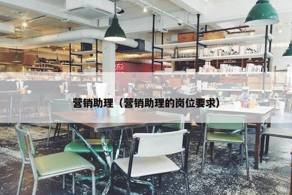 营销助理（营销助理的岗位要求）