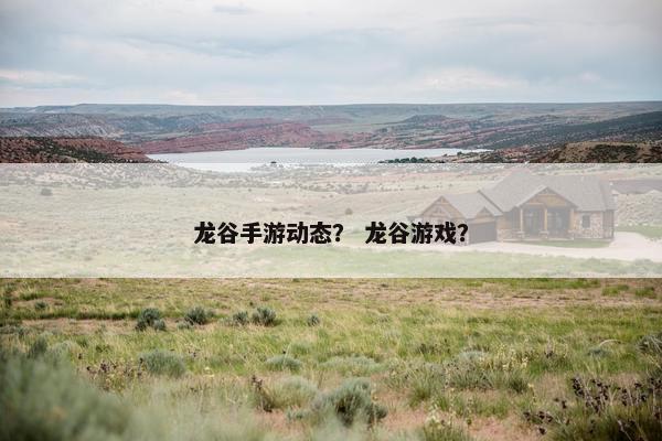 龙谷手游动态？ 龙谷游戏？