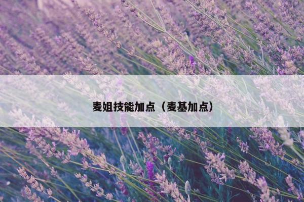 麦姐技能加点（麦基加点）