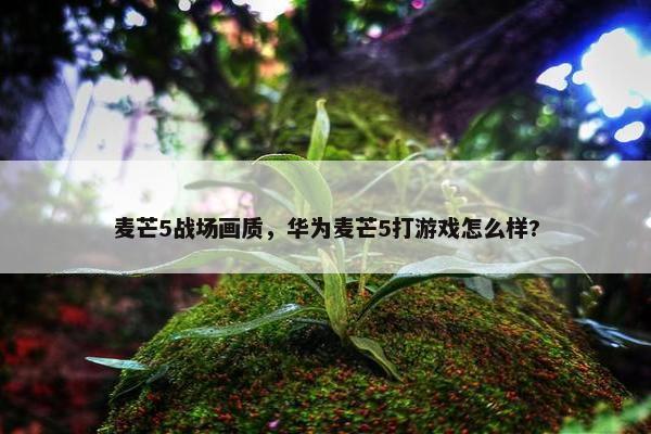 麦芒5战场画质，华为麦芒5打游戏怎么样?