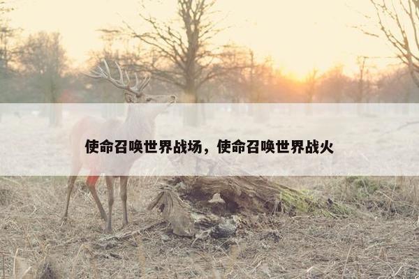 使命召唤世界战场，使命召唤世界战火