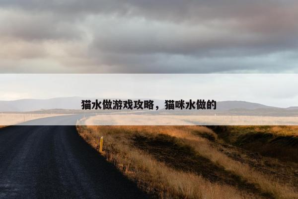 猫水做游戏攻略，猫咪水做的