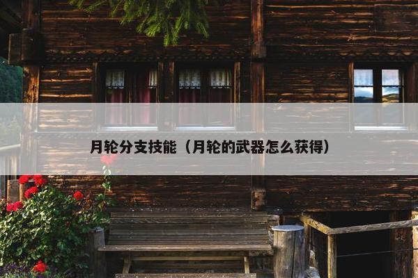 月轮分支技能（月轮的武器怎么获得）