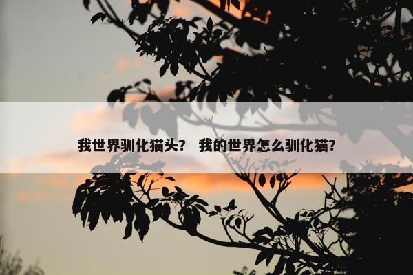 我世界驯化猫头？ 我的世界怎么驯化猫？