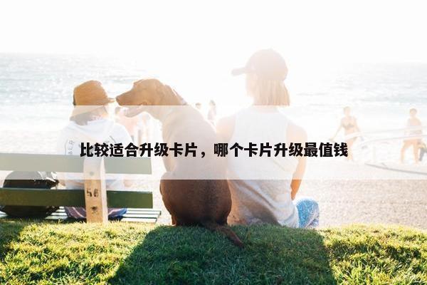 比较适合升级卡片，哪个卡片升级最值钱