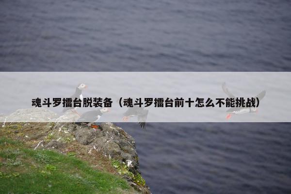 魂斗罗擂台脱装备（魂斗罗擂台前十怎么不能挑战）